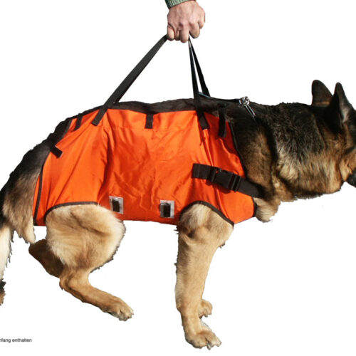 CARRYING HARNESS for DOGS